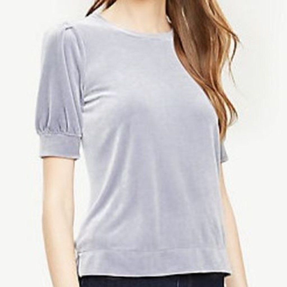 Ana Taylor Petite Velvet Puff Sleeve Top